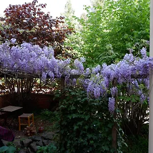 Apartment Elbe Garden Paradise Dresden